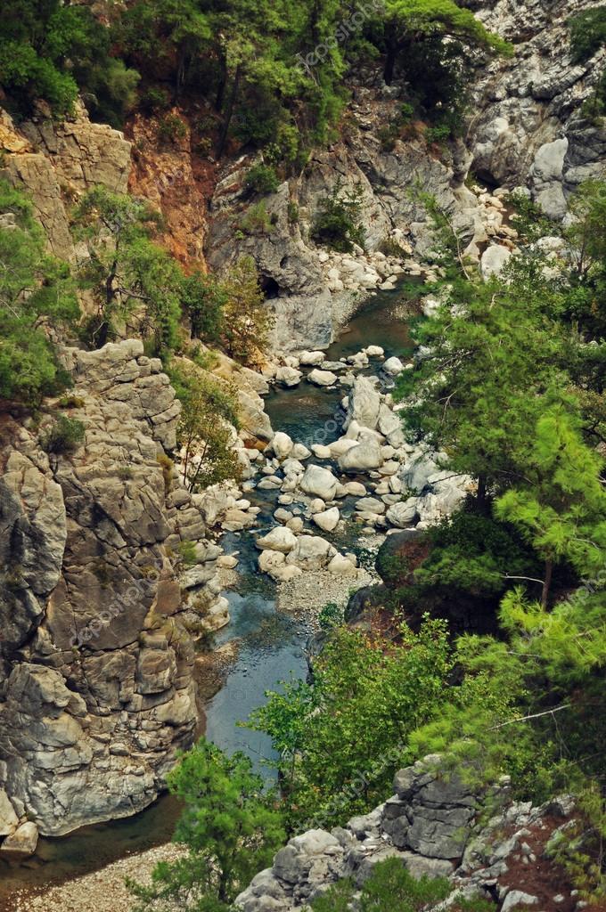 dikaya