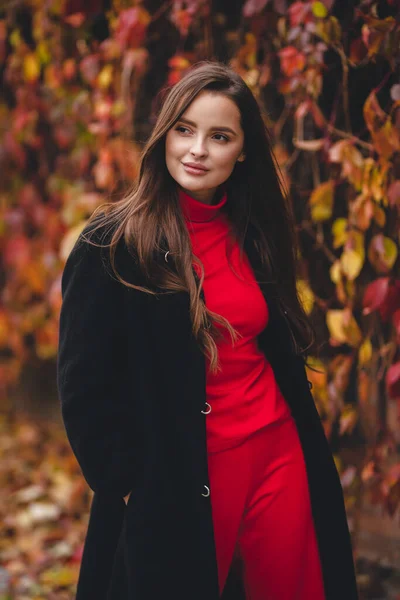 Jesienny Portret Atrakcyjnej Dziewczyny Jesienne Odcienie Stylowa Dziewczyna Relaksuje Się — Zdjęcie stockowe