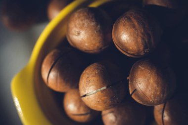 Macadamia fındığı. Düzgün beslenme. Sağlıklı bir yaşam tarzı. Durgun hayat