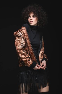 Afrikalı kıvırcık saçlı beyaz bir kızın modaya uygun portresi. Siyah arka planda leopar desenli ceketli bir kız.