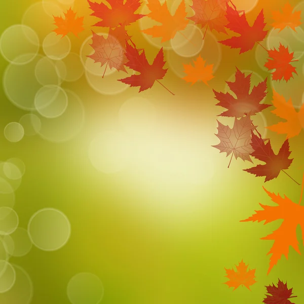 Autumn background — Stock Photo, Image