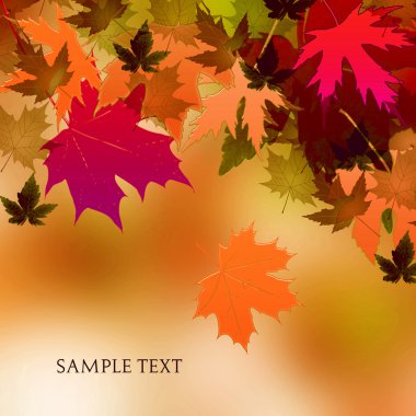 Renkli sonbahar yaprakları