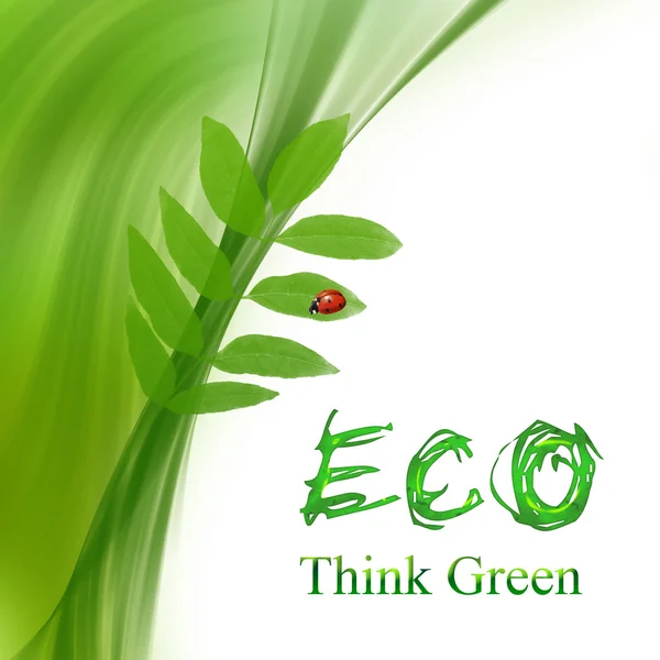 Tarjeta ecológica — Foto de Stock