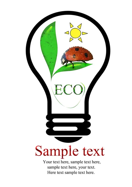 Eco sfondo — Foto Stock