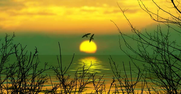 Солнечный свет на озере — стоковое фото