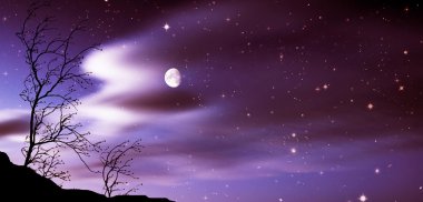 gece manzarası