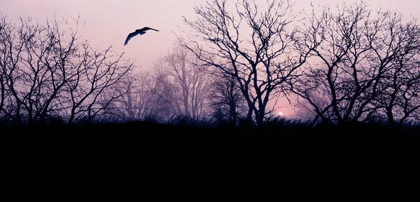 Landschap in paarse schakeringen — Stockfoto