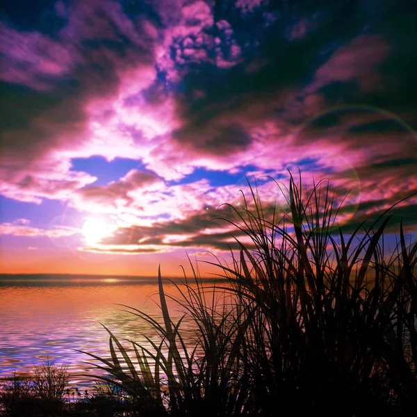Landscape in violet tones — Stock Photo, Image