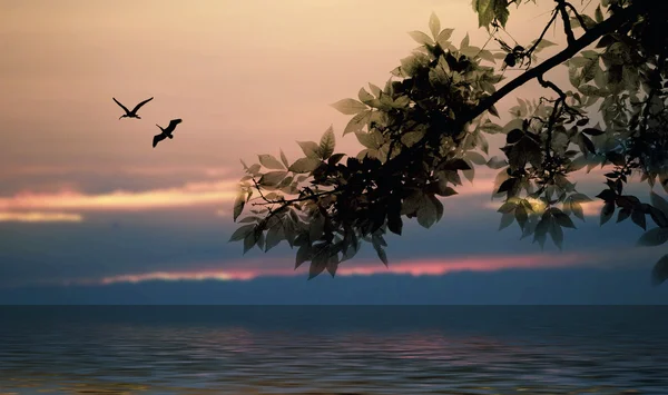 Schönes Meer — Stockfoto