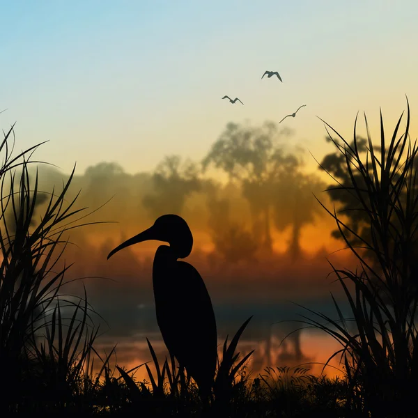 Pelikan-Silhouette — Stockfoto