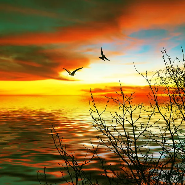 Beautiful landscape on sunset — Stock Photo, Image