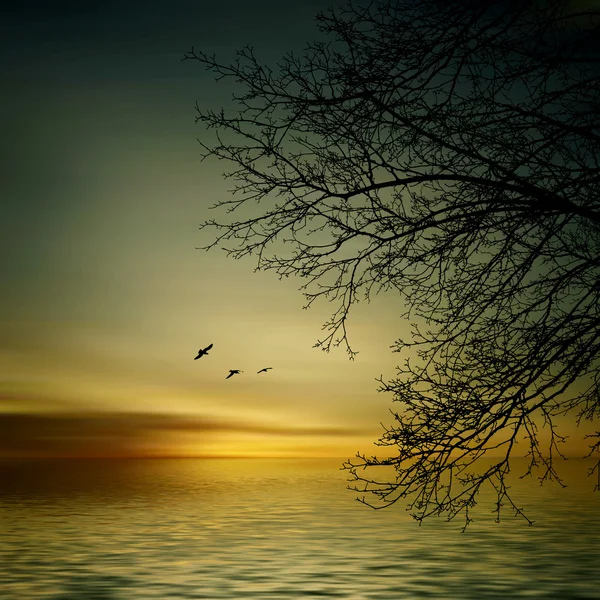 Ağaç, nehir ve kuşlar — Stok fotoğraf