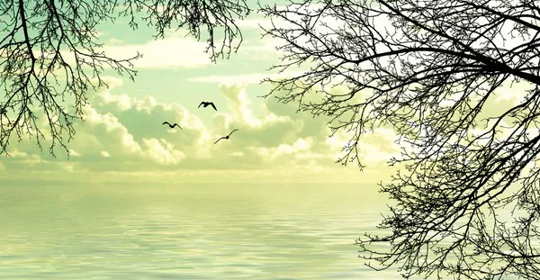 Flying birds