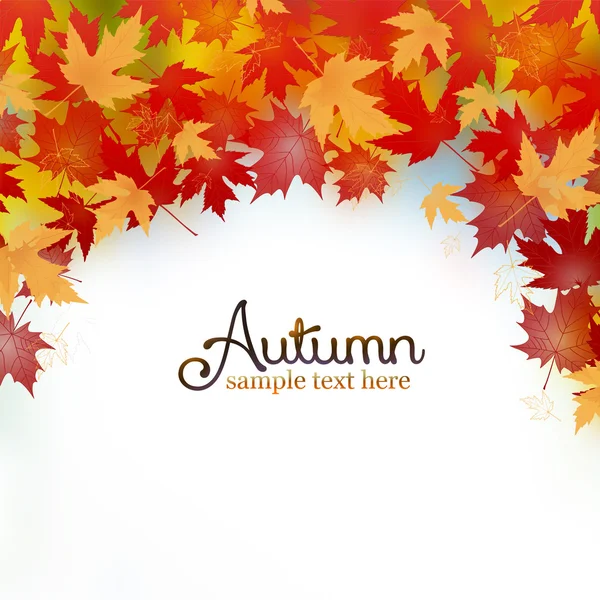 Foglie d'autunno — Foto Stock