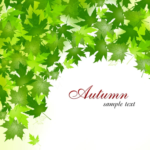 Осенние листья текстуры — стоковое фото