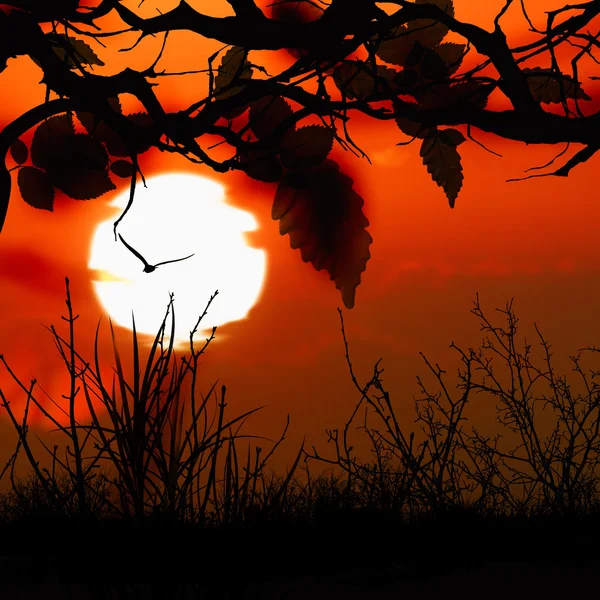 Bellissimo paesaggio — Foto Stock