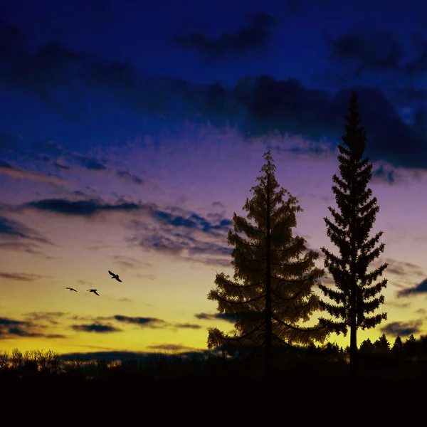 Schöne Landschaft — Stockfoto