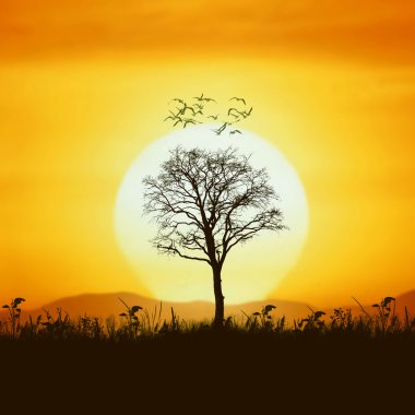 ağaç ve fantastik gökyüzü