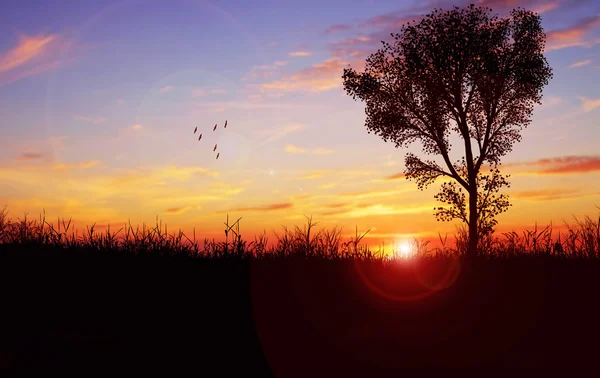 Árbol y cielo fantástico — Foto de Stock