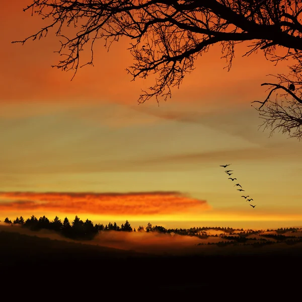 Schöne Landschaft — Stockfoto