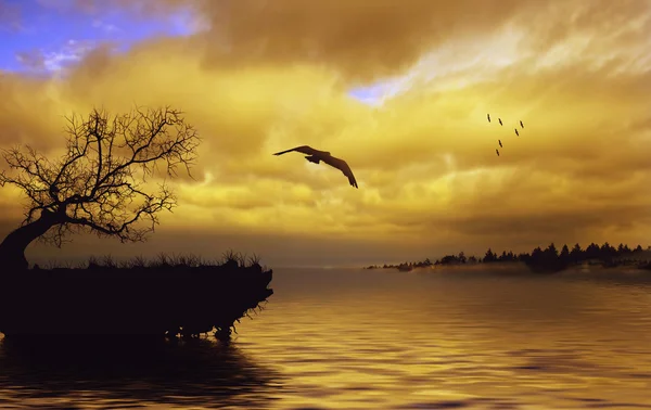 Пейзаж з птахом і річкою — стокове фото
