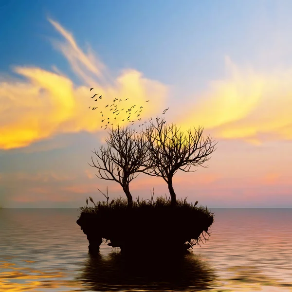 島の木のある風景します。 — ストック写真