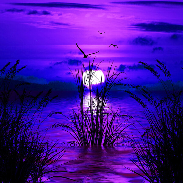 Ночной пейзаж
