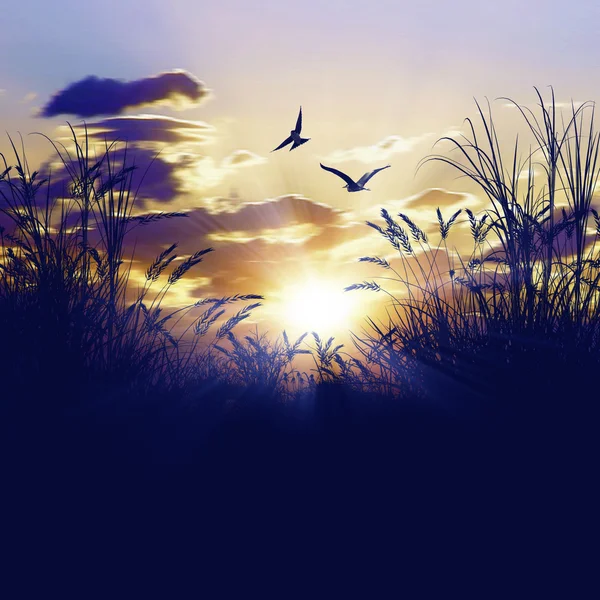 Landskap med soluppgång och fåglar — Stockfoto