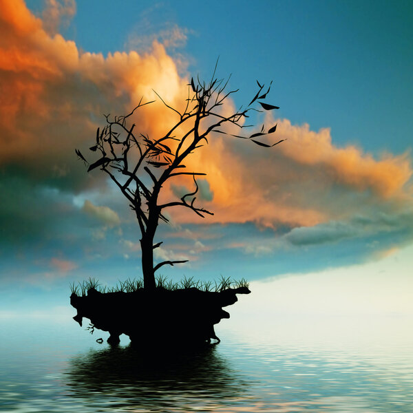 Beautiful sunset landscape