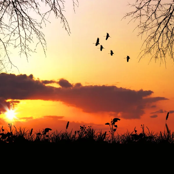 Schöne Landschaft — Stockfoto