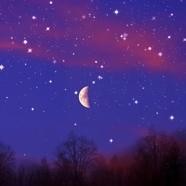 ภูมิทัศน์แสงจันทร์ที่สวยงาม — ภาพถ่ายสต็อก