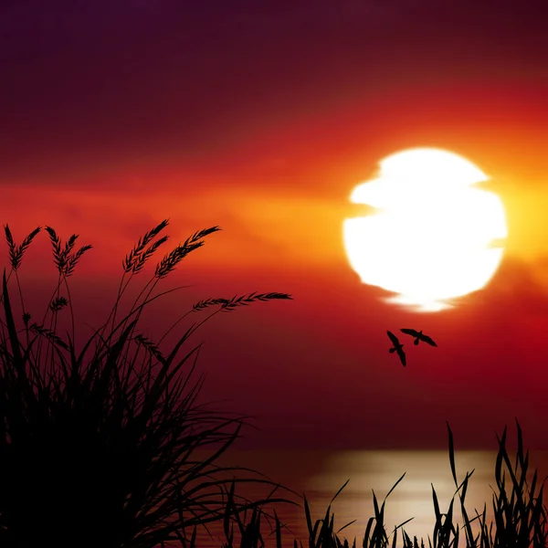 Prachtige zonsondergang landschap — Stockfoto