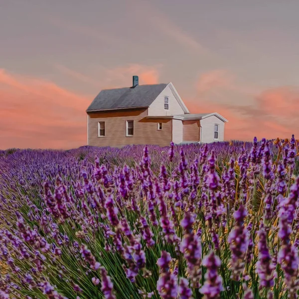 Una Casa Madera Campo Lavanda Imitación Pintura Óleo Ilustración —  Fotos de Stock