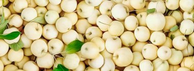 Beyaz elmaların arka planı. Yağlı boya taklidi. 3B illüstrasyon.