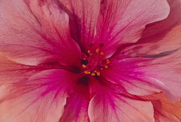 Hibiskusblüte Imitation Von Ölgemälden Illustration — Stockfoto