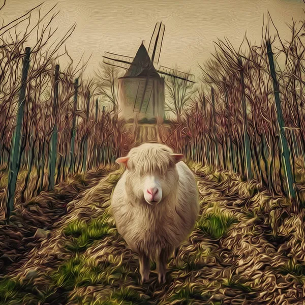 Spring Vineyard Mill Adult Sheep Background Oil Painting Imitation Illustration — Stock Photo, Image