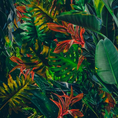 Tropik Yaprak Çeşmesi. Üç boyutlu illüstrasyon. Yağlı boya resmin taklidi.