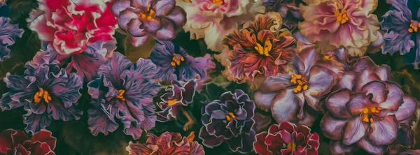 Berbagai Macam Violet Ilustrasi Imitasi Lukisan Minyak — Stok Foto