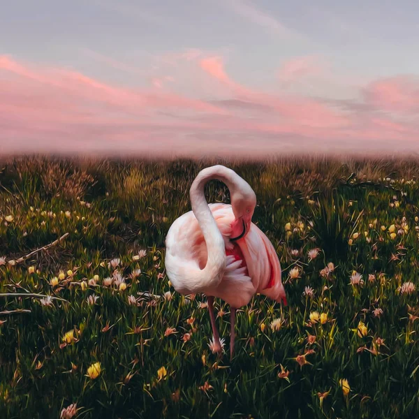 Flamingo Padang Rumput Dengan Bunga Ilustrasi Imitasi Lukisan Minyak — Stok Foto