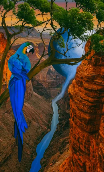 Modrožlutá Ara Stromě Nad Strží Ilustrace Imitace Olejomalby — Stock fotografie