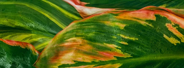 Green and pink acrylic abstract painting texture. 3D illustration. Imitation of oil painting.