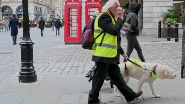 Londres Noviembre 2021 Perro Guía Conduce Hombre Con Chaqueta Alta — Vídeo de stock