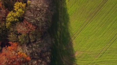 Sonbahar renklerinde orman ve yeşil arazinin kenarından aşağıya doğru uçan hava aracı.