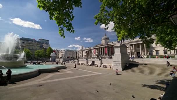 London Maja 2022 Pan Galerii Narodowej Przez Trafalgar Square Słoneczny — Wideo stockowe