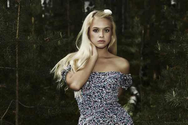 Beautiful blond woman with flower in her hair. night forest Royalty Free Stock Images