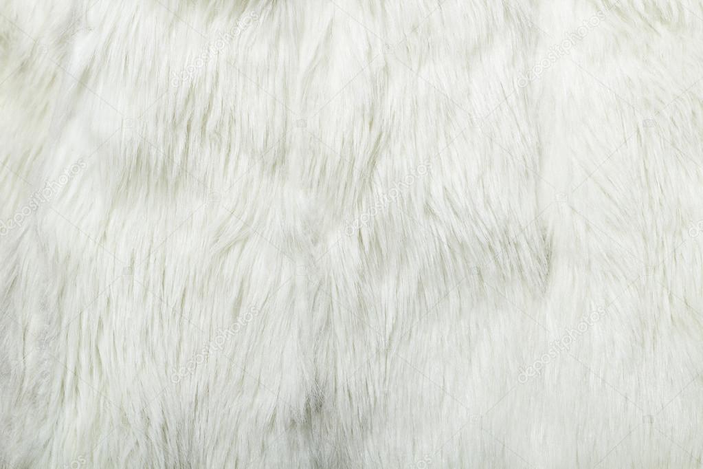White fur background. Close-up. texture