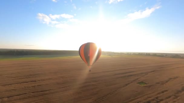 Black Orange Hot Air Balloon Floating Field Beautiful Summer Sunrise — Stok video