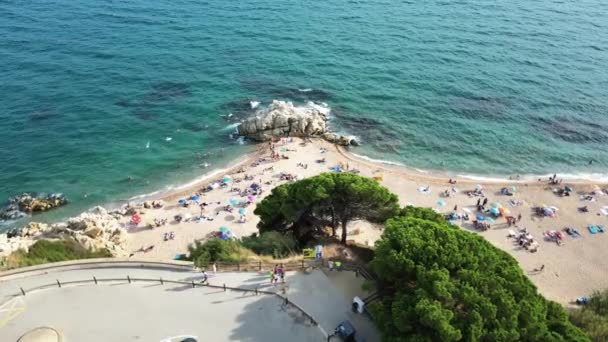 Aerial View Cala Roca Grossa Beach Calella Province Catalonia Spain — Vídeo de stock
