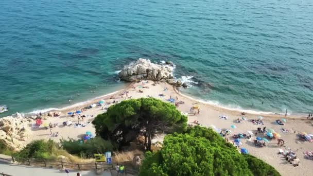Aerial View Cala Roca Grossa Beach Calella Province Catalonia Spain — 图库视频影像