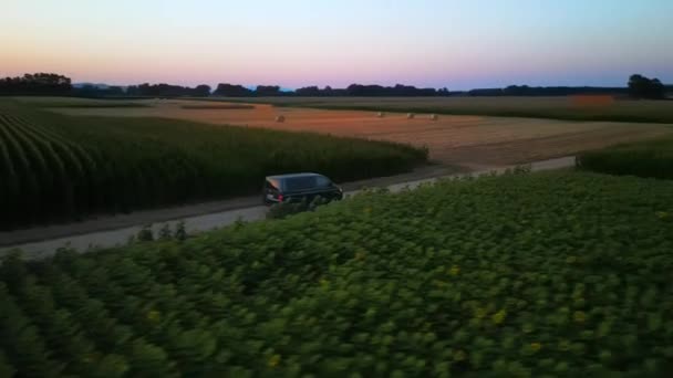 Cinematic Fpv Shot Grey Volkswagen Minibus Driving Green Field Rural — ストック動画